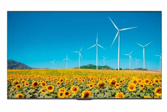  Фото информационный дисплей hisense 65" 65dp30fe - фото 3