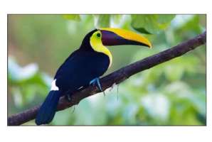  Фото видеостена 2x2 exell 55" expd-wa55ab15 - фото 3